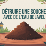 illustration détruire souche eau de javel au jardin